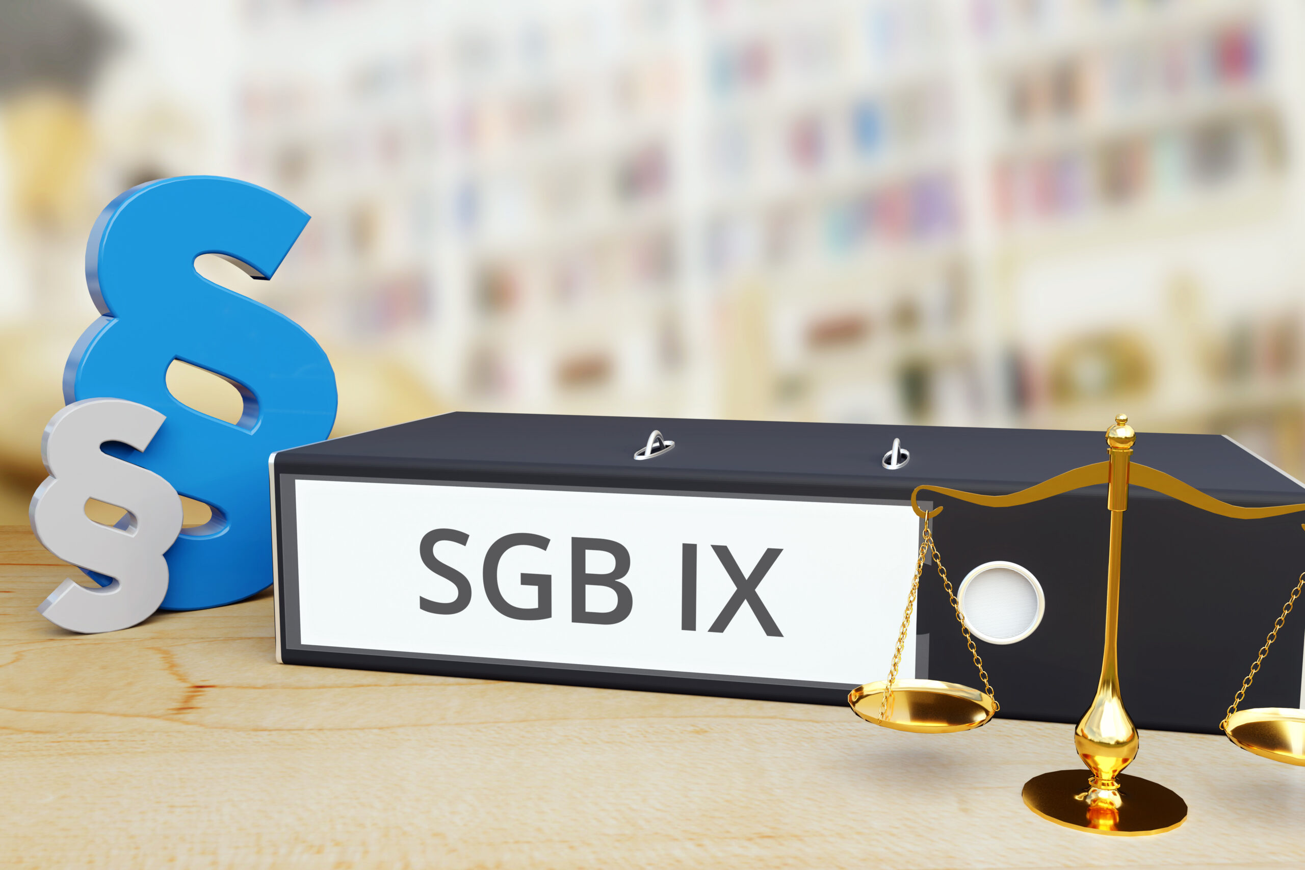 Read more about the article Budget §29 SGB IX für 4 jähriges Kind